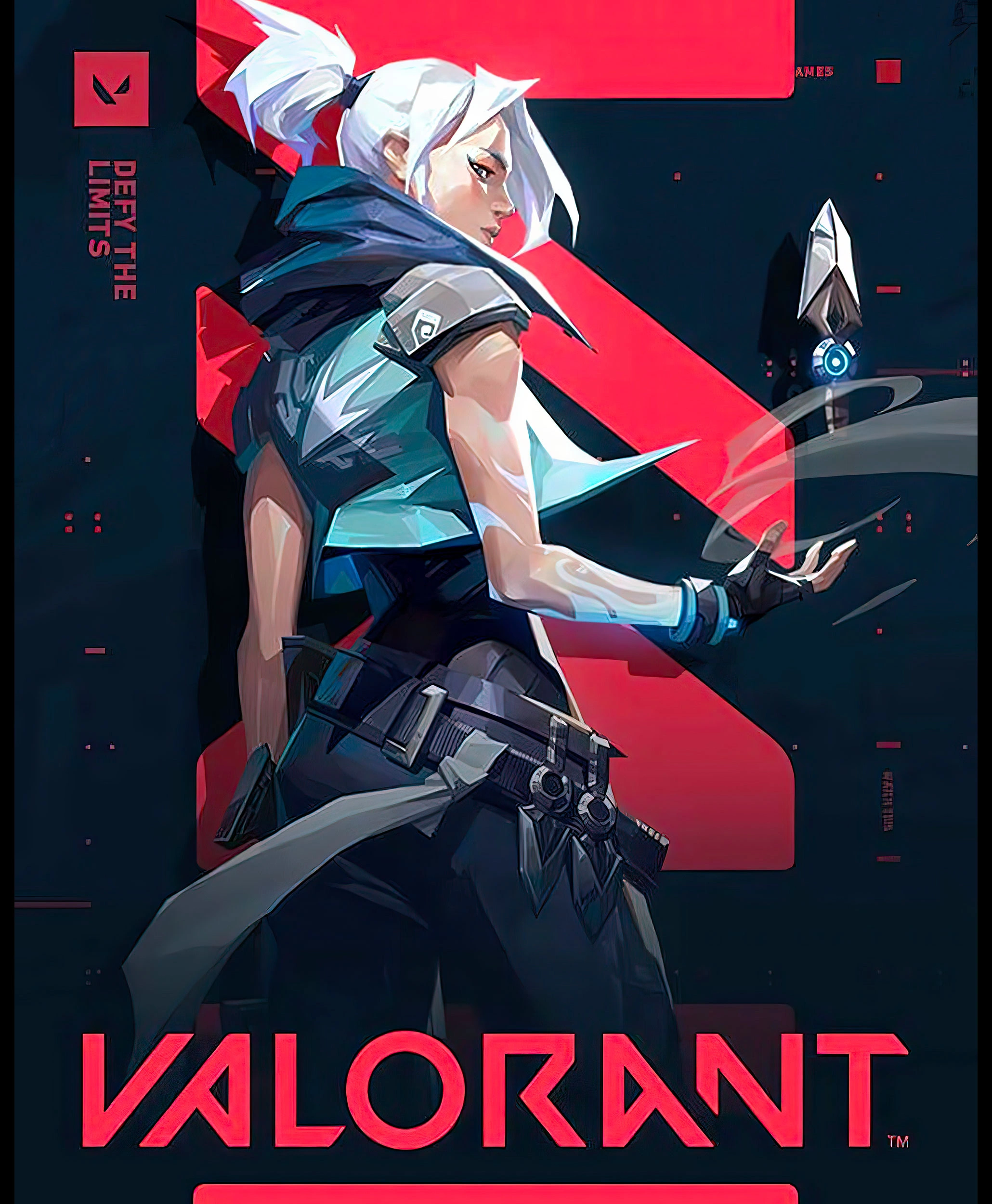 Box-Art-Valorant